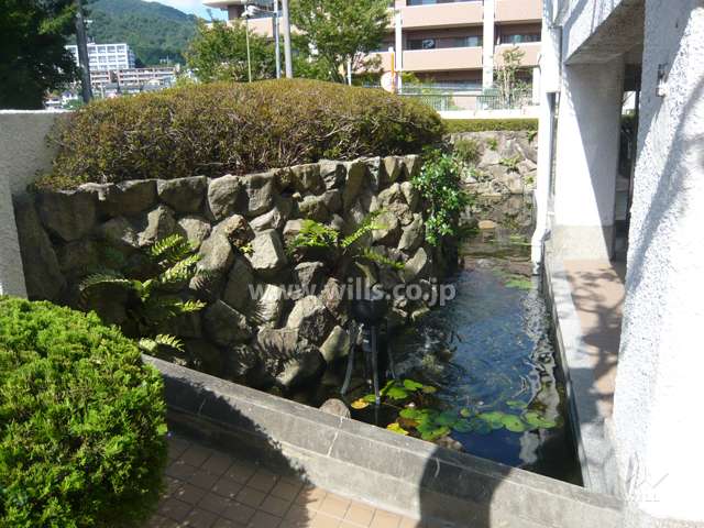 エントランス横の池