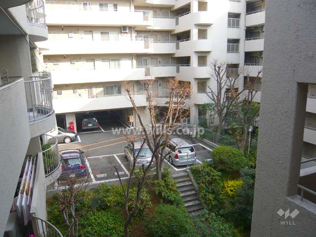 中庭