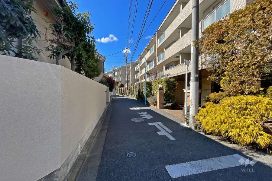 敷地南側の前面道路（東側から）