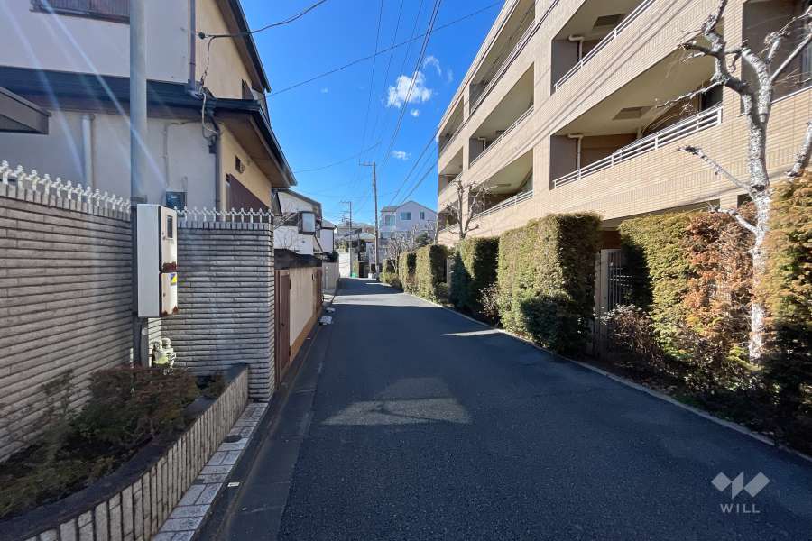 敷地南側の前面道路