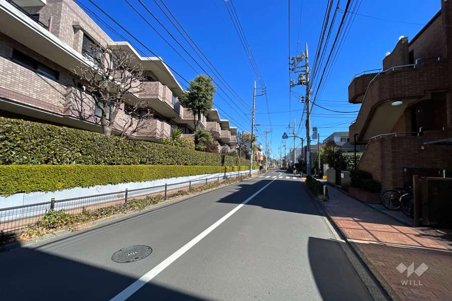 敷地南側の前面道路（西側から）
