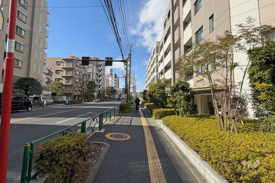 敷地南側の前面道路