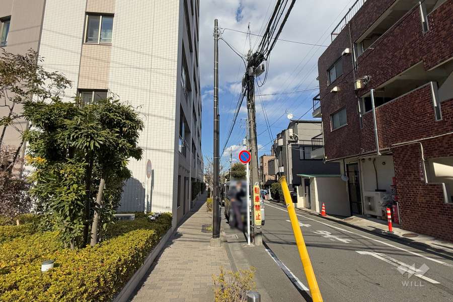 敷地東側の前面道路