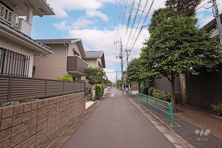 敷地北側の前面道路（西側から）