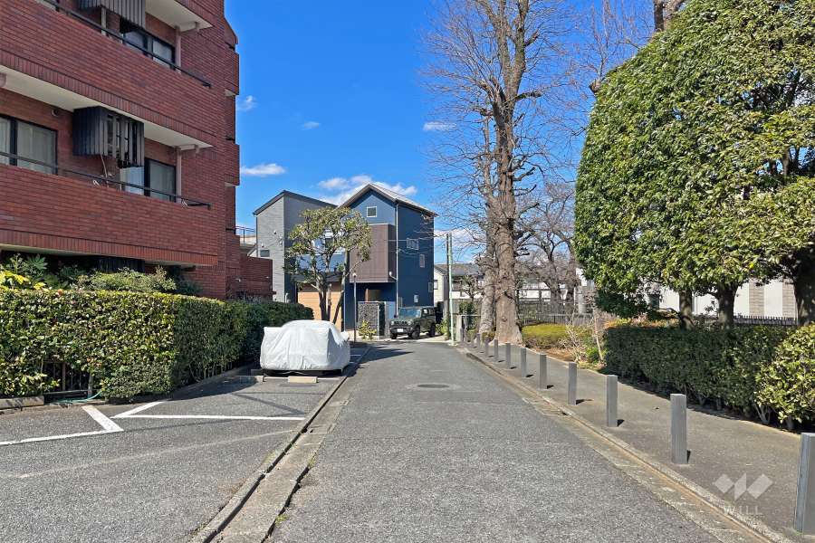 敷地の東側前面道路（南側から）