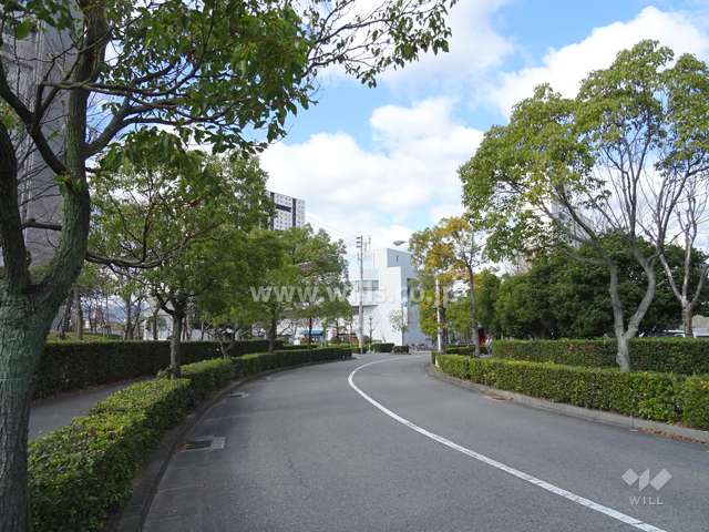 敷地東側の前面道路（南側から）