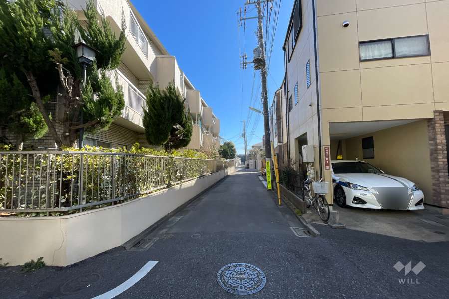 敷地の南側前面道路（西側から）
