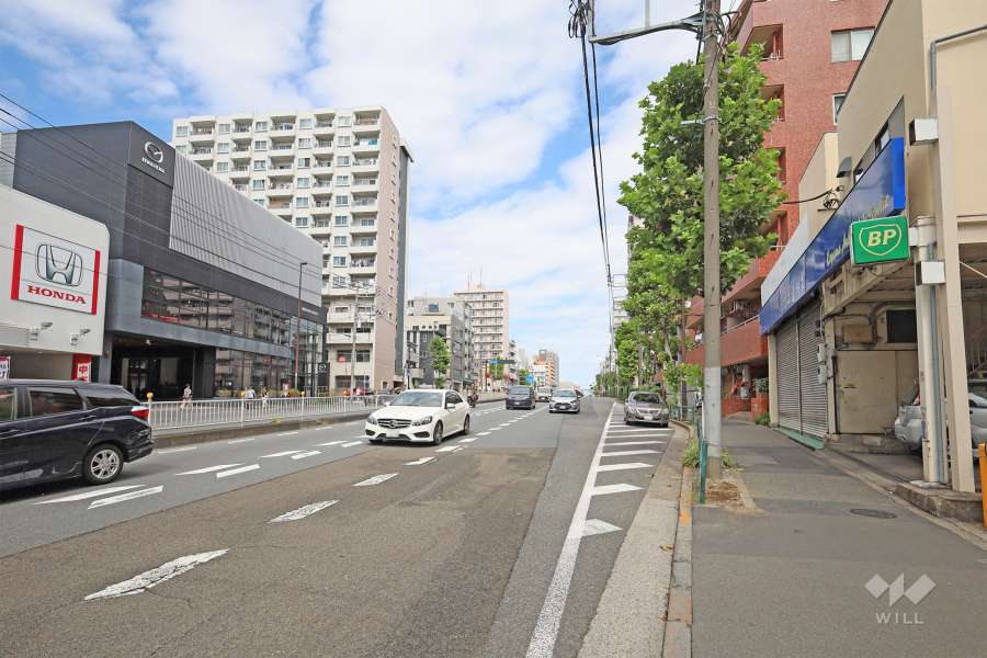 敷地西側の前面道路（南側から）