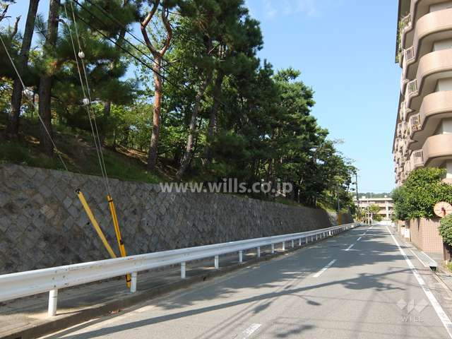 敷地北西側の前面道路（南西側から）