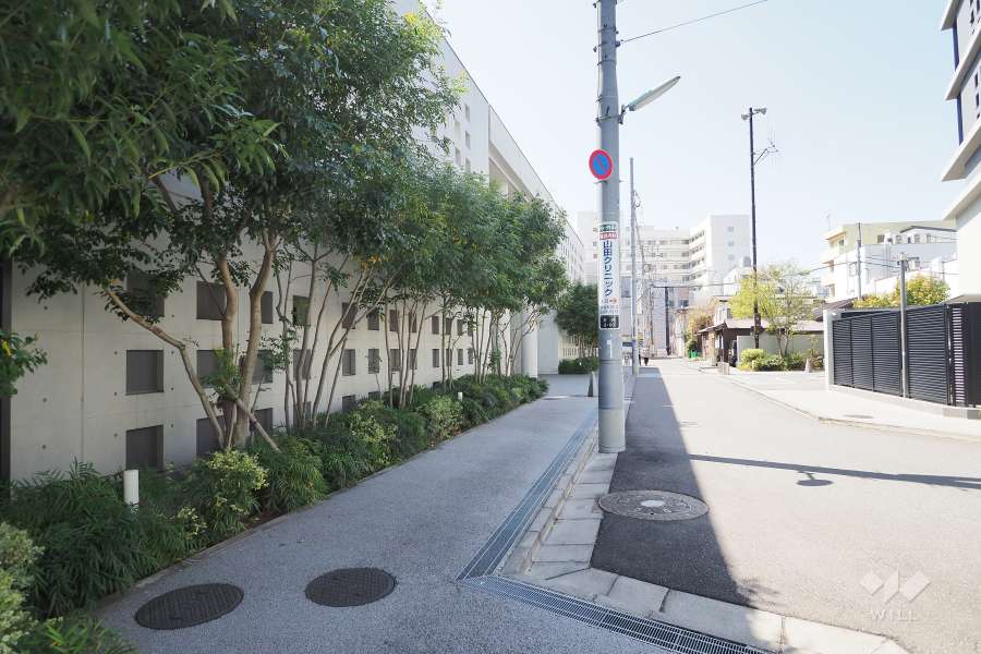 敷地北側の前面道路
