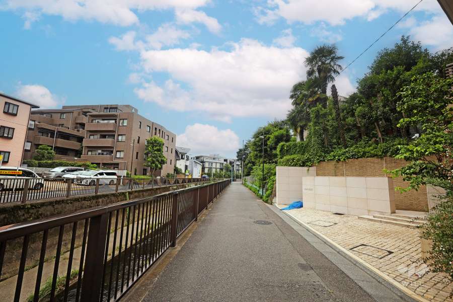 敷地南東側の前面道路（北東側から）