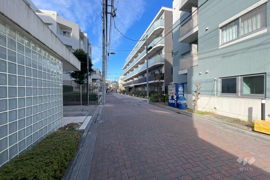敷地南側の前面道路　