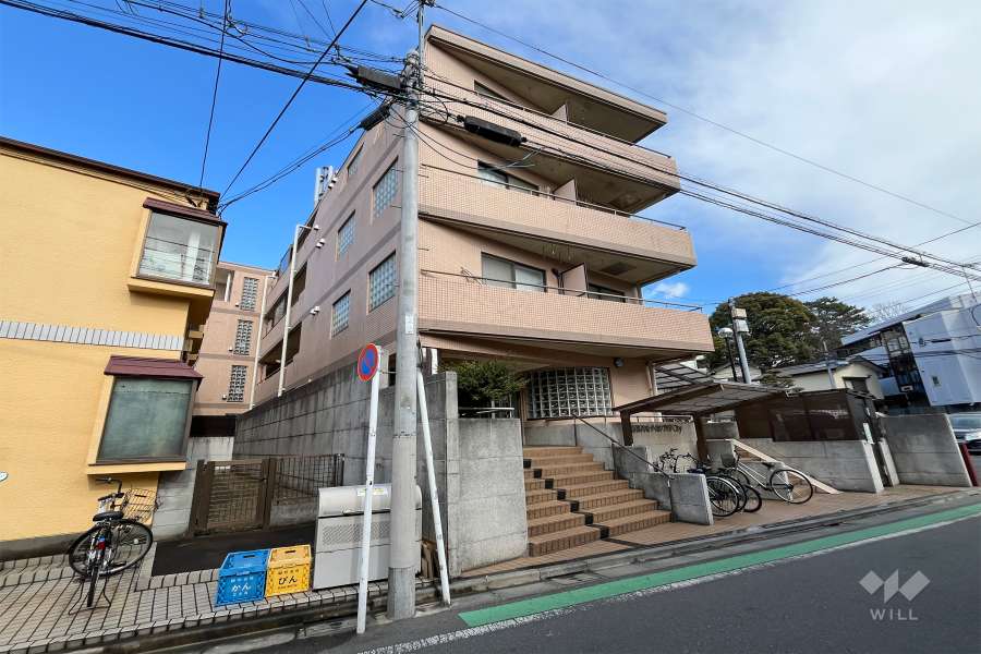 新高円寺ダイカンプラザシティの外観（南西側から）