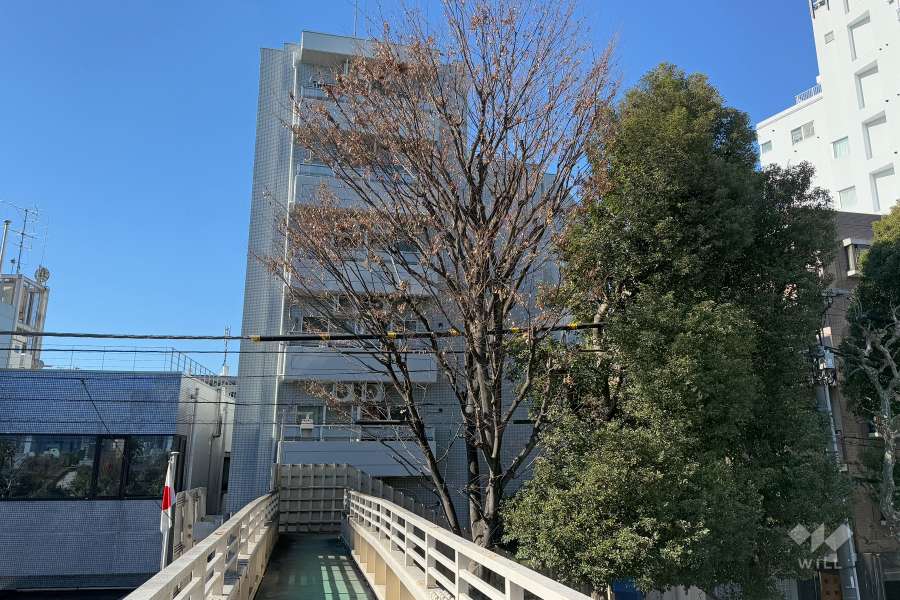 モナーク杉並堀ノ内の外観（東側から）