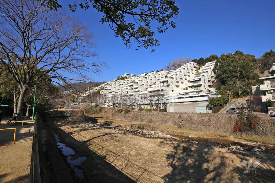 すぐ目の前に芦屋川が流れています。