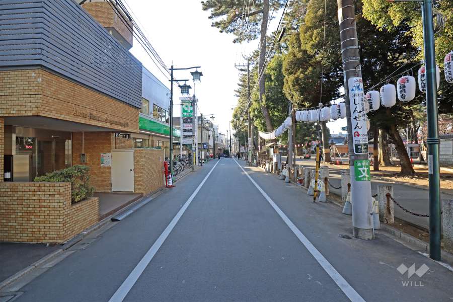 敷地の北側の前面道路（東側から）