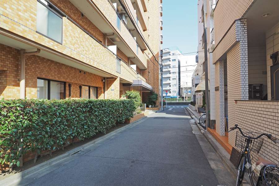 敷地南側の前面道路