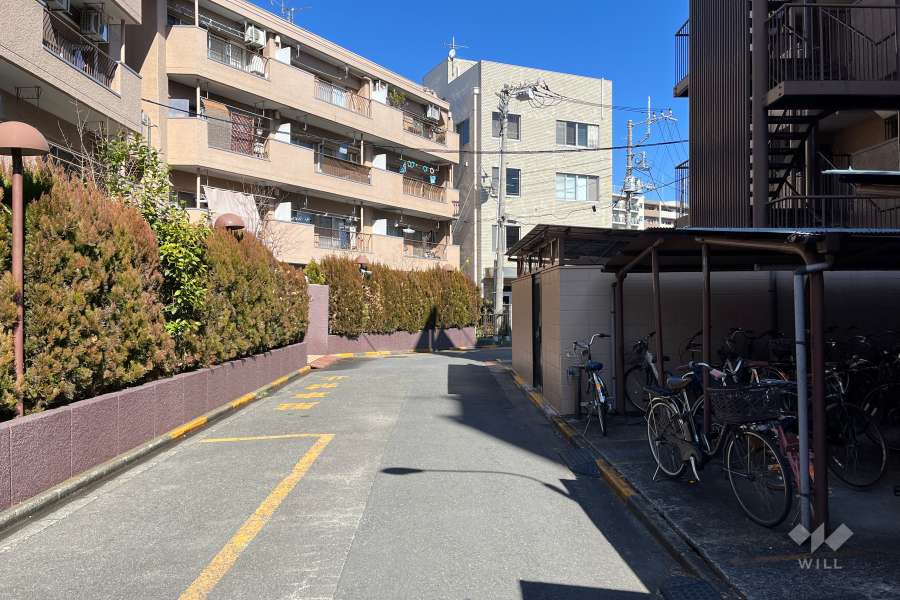 敷地の東側前面道路（南側から）