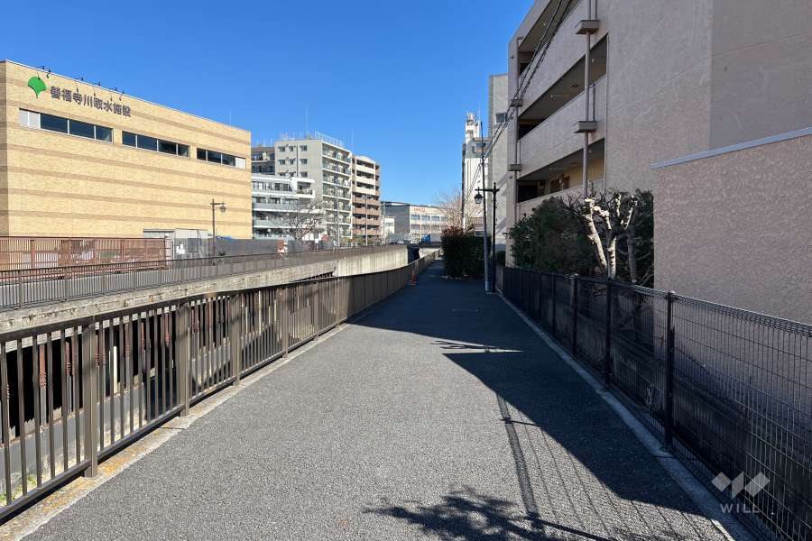 敷地の北側前面道路（西側から）