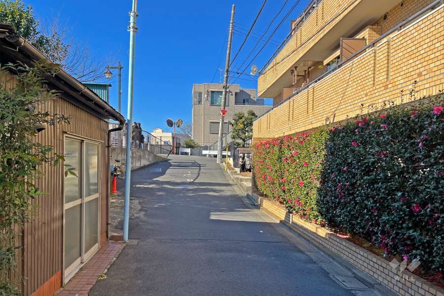 敷地の南側前面道路（東側から）