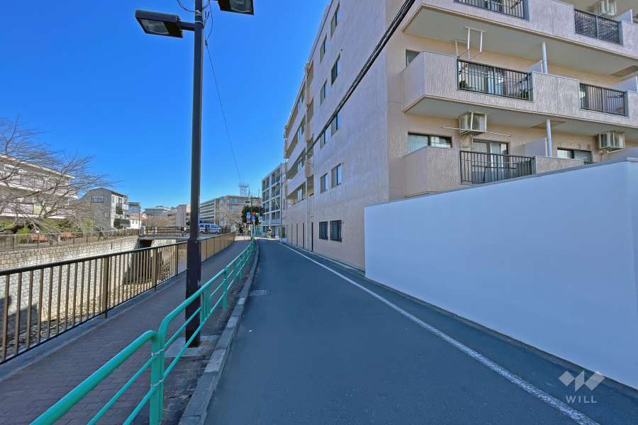 敷地の北側前面道路（西側から）