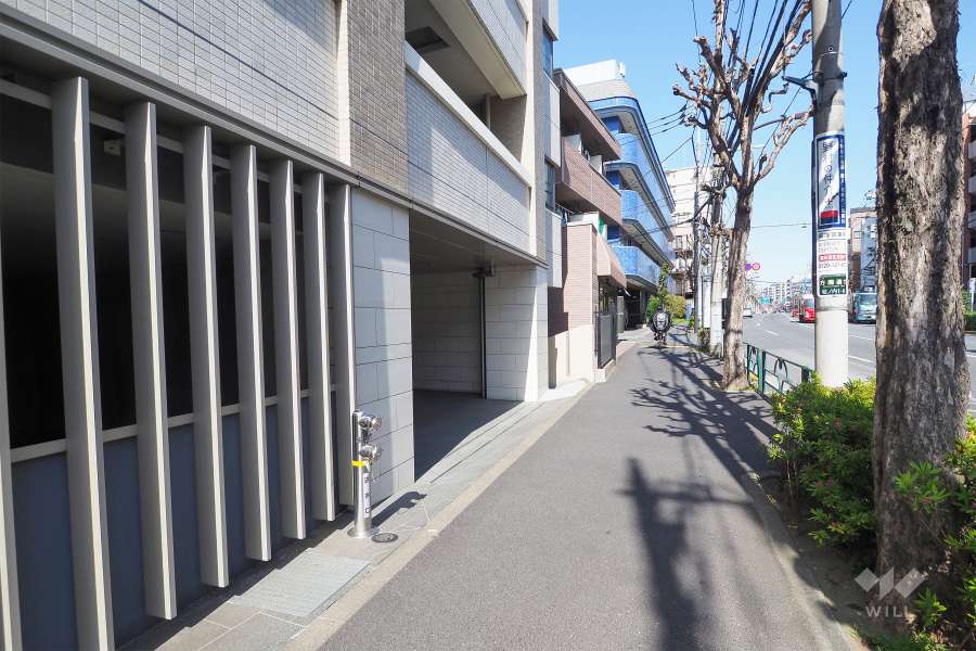 敷地南側の前面道路（西側から）