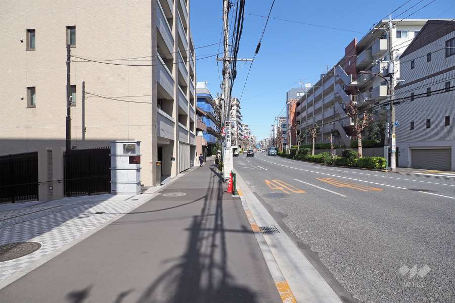 敷地南側の前面道路（西側から）