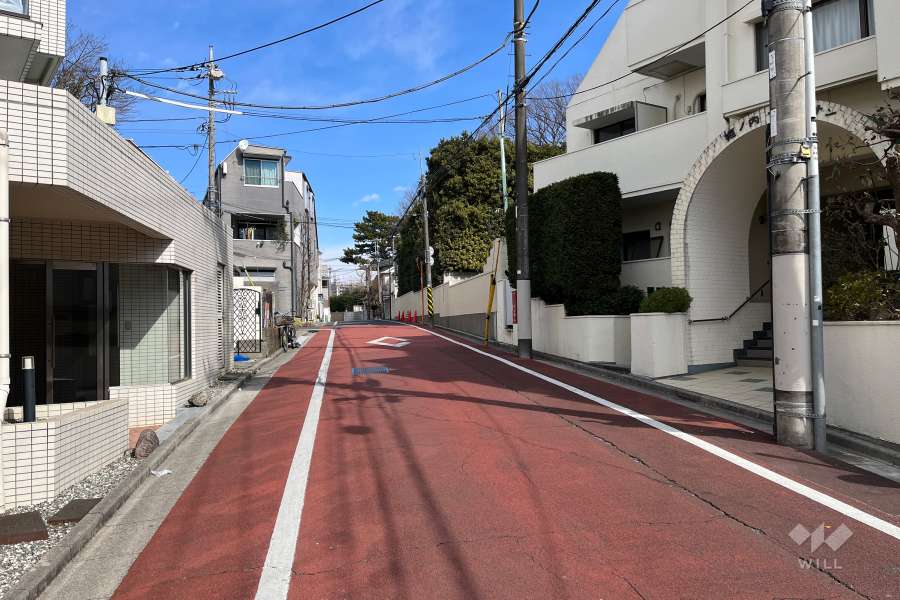 敷地の西側前面道路（南側から）