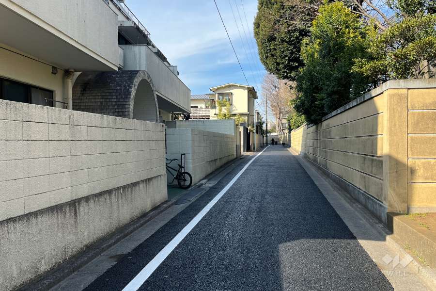 敷地の東側前面道路（南側から）