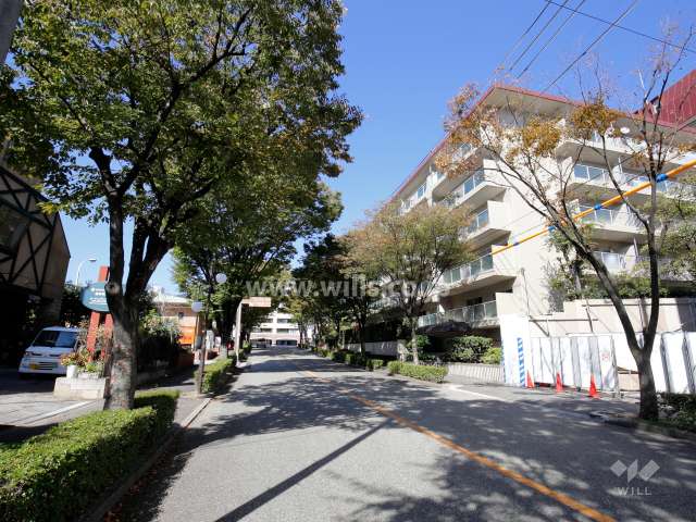敷地西側の前面道路