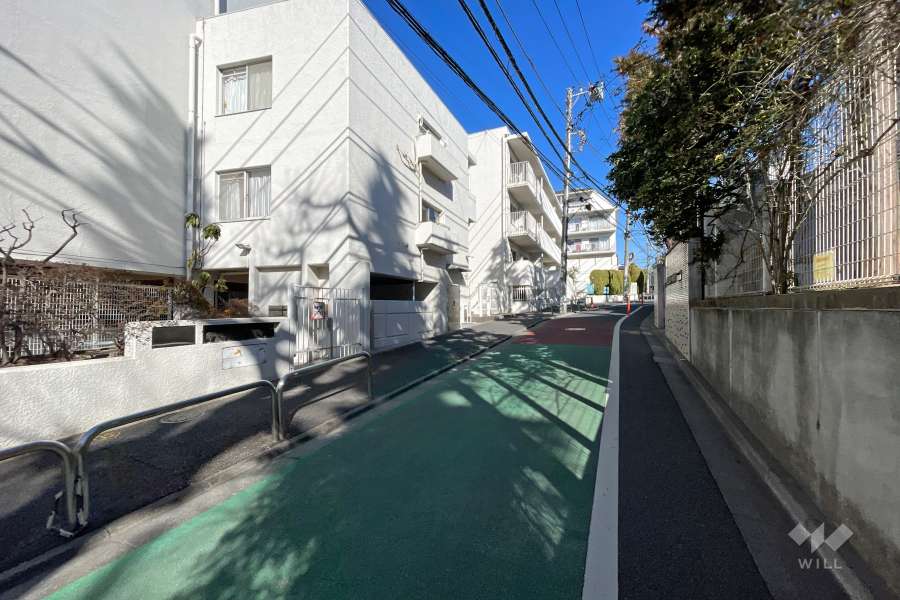 敷地の東側前面道路（南側から）