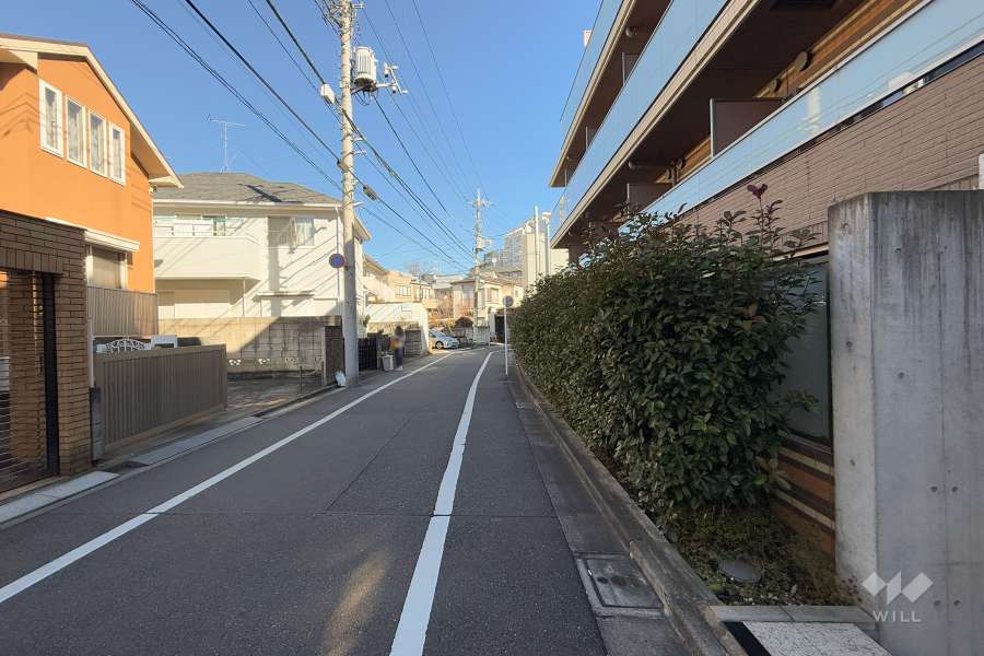 敷地の西側前面道路（南側から）