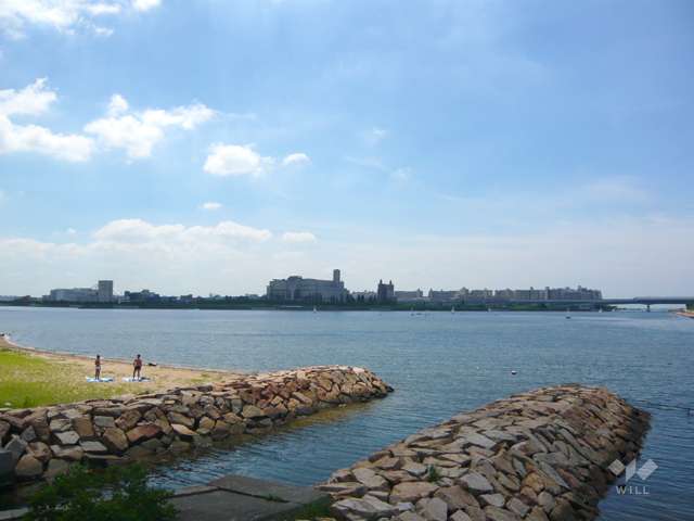 敷地の南側には海が広がっています。