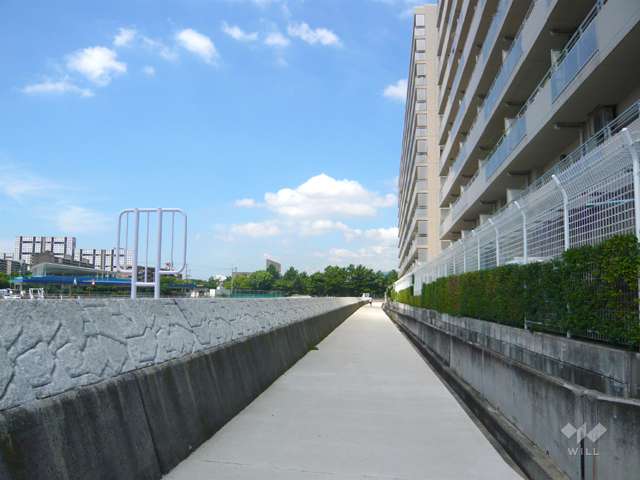 海沿いの遊歩道