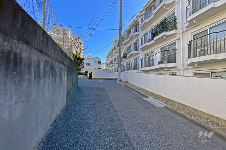 敷地の北側前面道路（西側から）