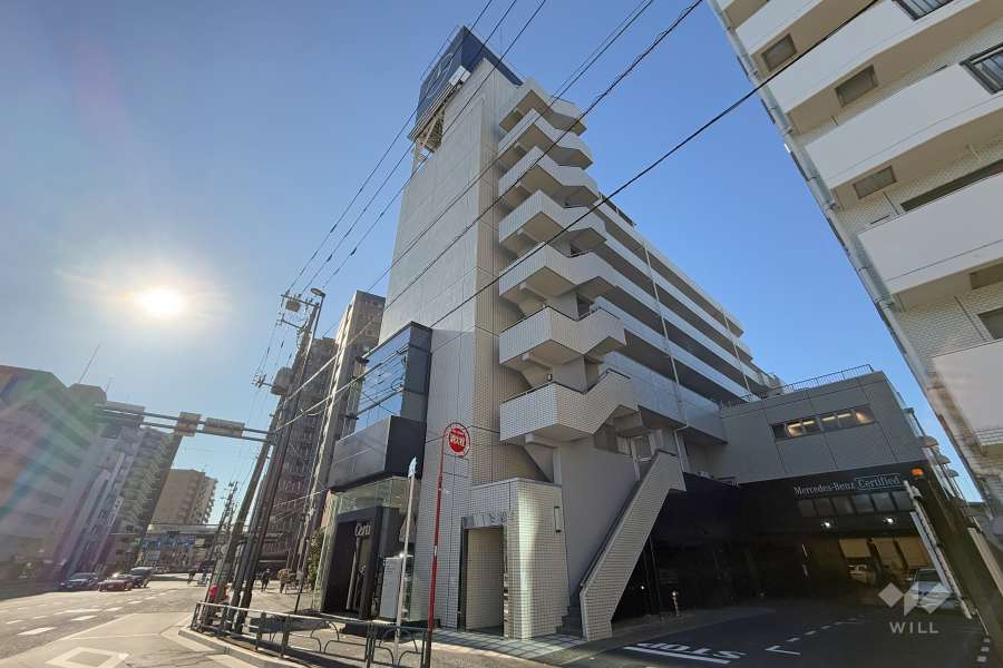 カーネ杉並和泉の外観（北側から）