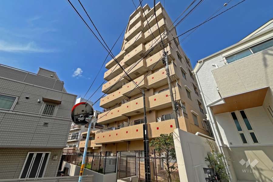 ゼファー明大前クローチェの外観（南東側から）