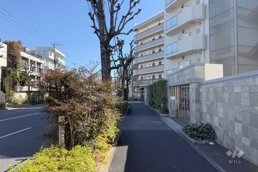 敷地北側の前面道路