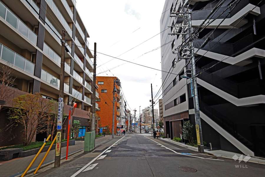敷地東側の前面道路（南側から）
