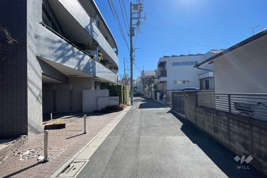 敷地の南側前面道路（西側から）
