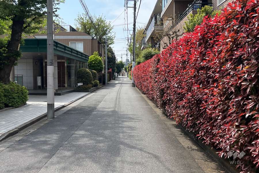 敷地南側の前面道路（東側から）