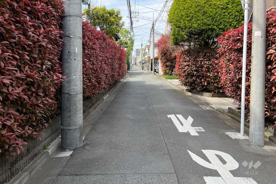 敷地東側の前面道路（南側から）