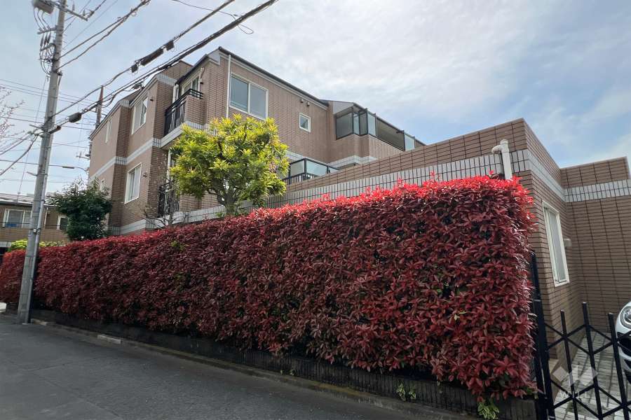 ドューエ永福フィオーレの外観（北東側から）