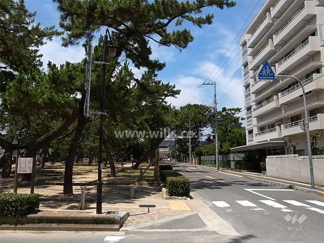 敷地西側の前面道路