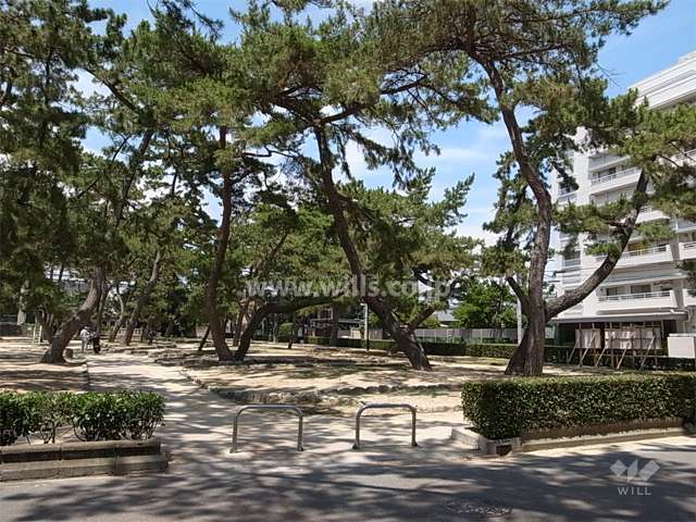 敷地の西側には道を挟んで、芦屋川沿いの松林がきれいな公園が広がっています。