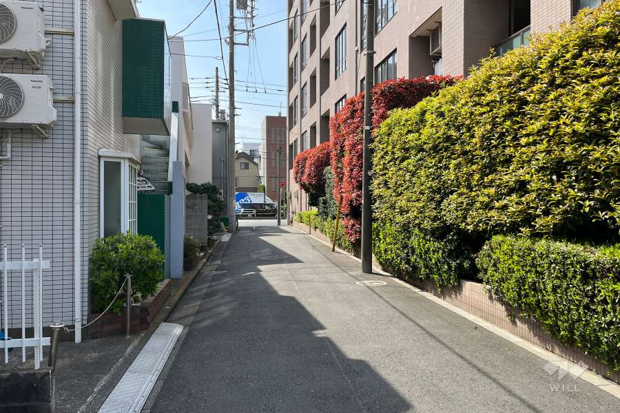 敷地の南側前面道路（東側から）