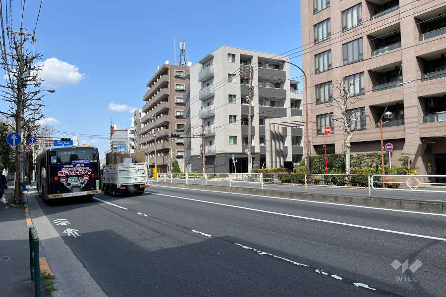 敷地の西側前面道路（南側から）