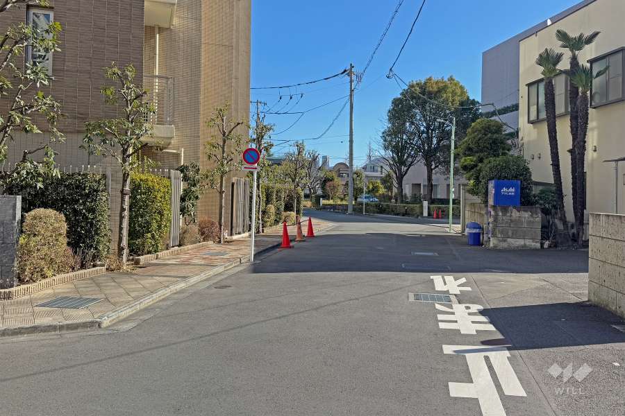 敷地の南側前面道路（西側から）