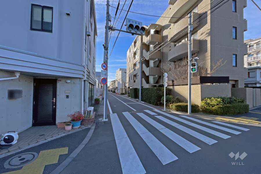敷地の東側前面道路は本郷通です（北側から）。