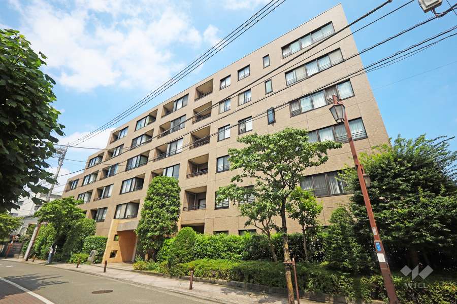 テラス杉並蚕糸の森の外観（南西側から）
